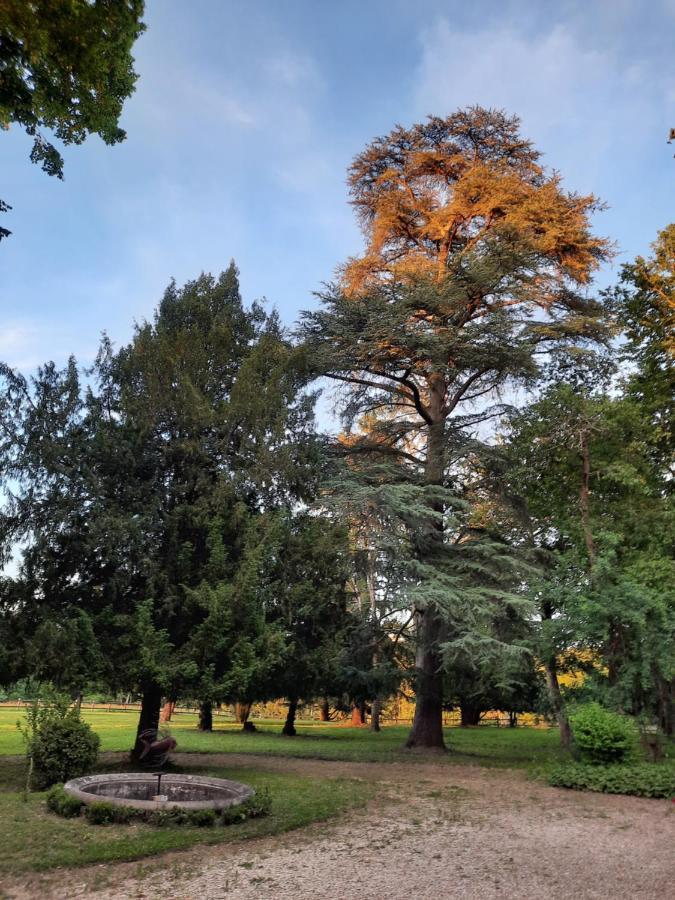 Gite De Charme A 15Mn De Bordeaux Autonomie 100% Camblanes-et-Meynac Екстер'єр фото